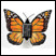 Solar Butterfly, Red