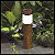 Oak Post 4-pack