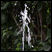 Sunjet 500 solar fountain pump