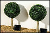 Baytree 25 white leds twinpack