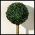 Baytree 25 white leds twinpack