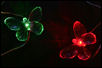butterfly light string