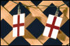 England flag 20 light string