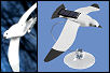 Solar Seagull