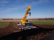 Crane that lifted the bear in place