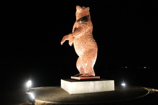 We light up the sky around the Dunbar Bear - Select Solar Limited dunbar bear